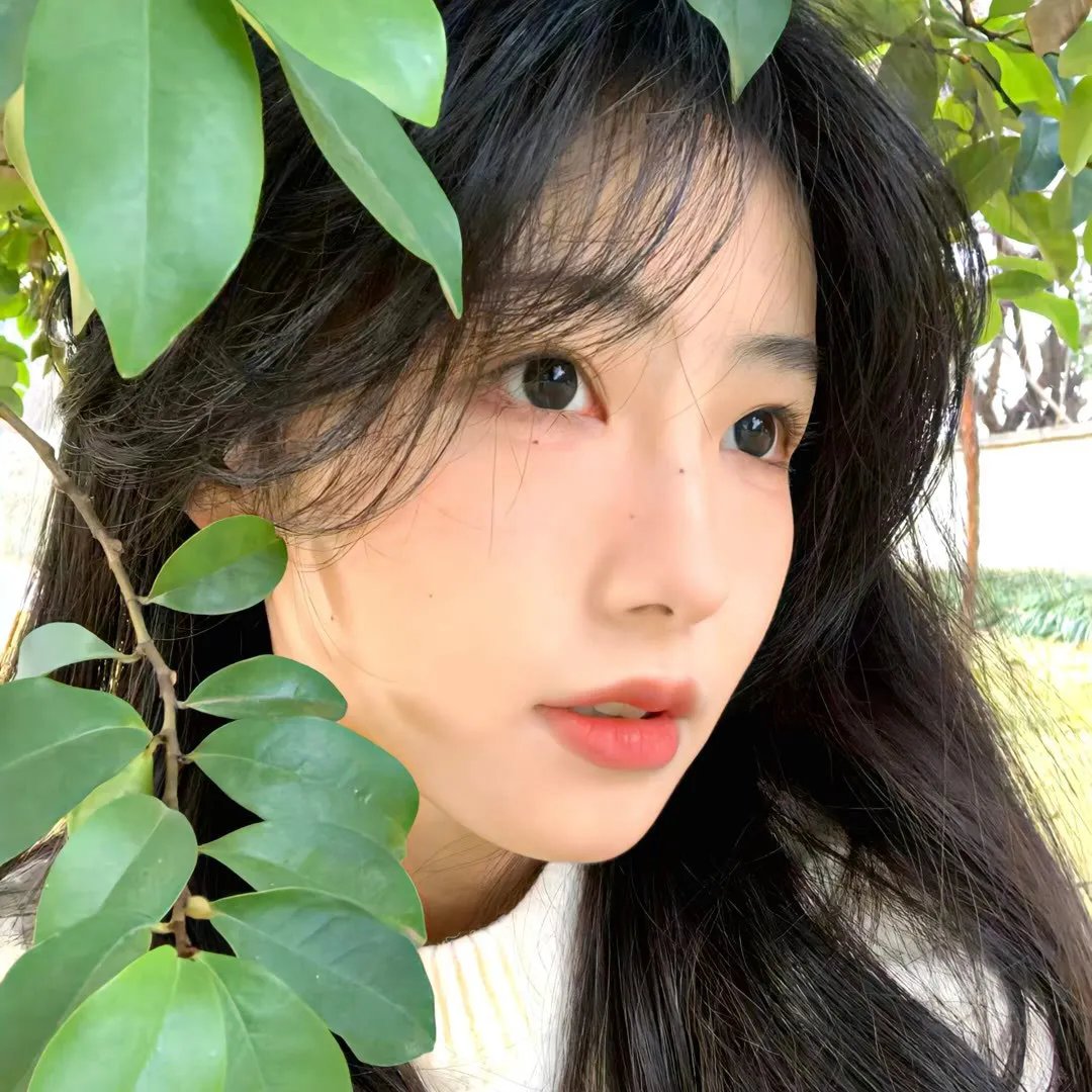 我是大美人第二季